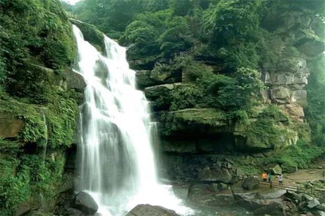蜜蜂向上跳